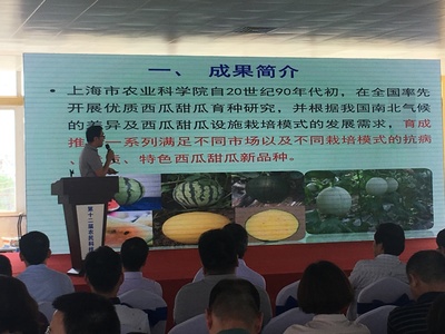 浦東第十二屆農民科技節開幕，初夏時節聚焦農業信息咨詢